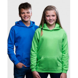 Sweat COLLÈGE à capuche AWDIS Enfant
