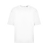 Arctic White