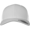 Silver-White