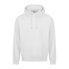 Arctic White