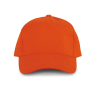 Spicy-Orange