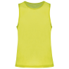 Fluorescent Yellow